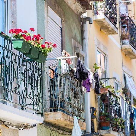 Arrabida House Daire Setúbal Dış mekan fotoğraf