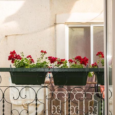Arrabida House Daire Setúbal Dış mekan fotoğraf