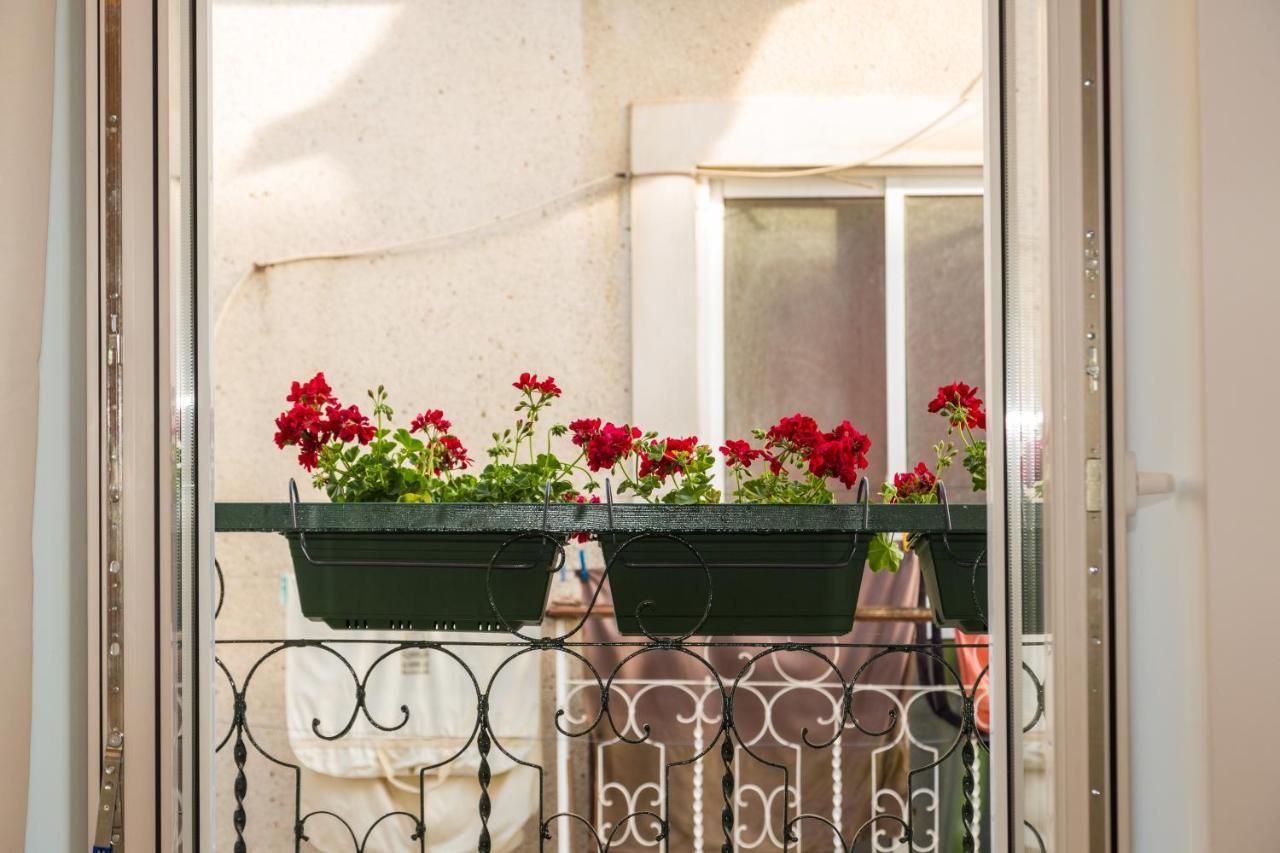 Arrabida House Daire Setúbal Dış mekan fotoğraf